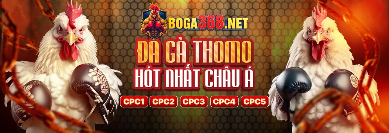Đá gà trực tuyến MM88 với các trận đấu kịch tính và người chơi sôi động