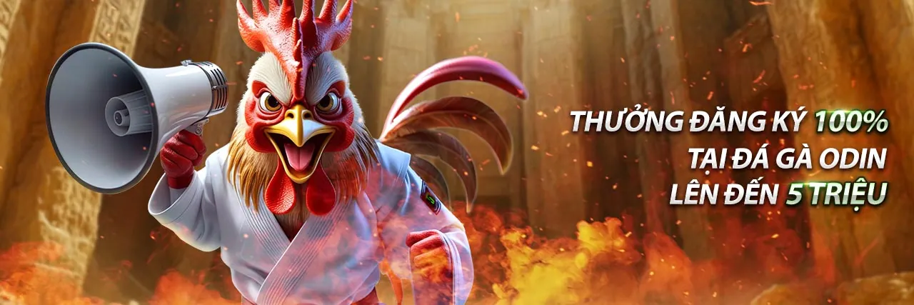 Giao diện MM88 với các bước hướng dẫn đặt cược đá gà